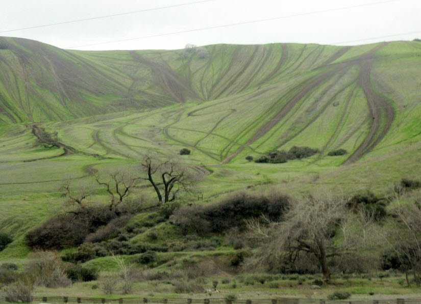Carnegie State Vehicular Recreation Area, California, USA